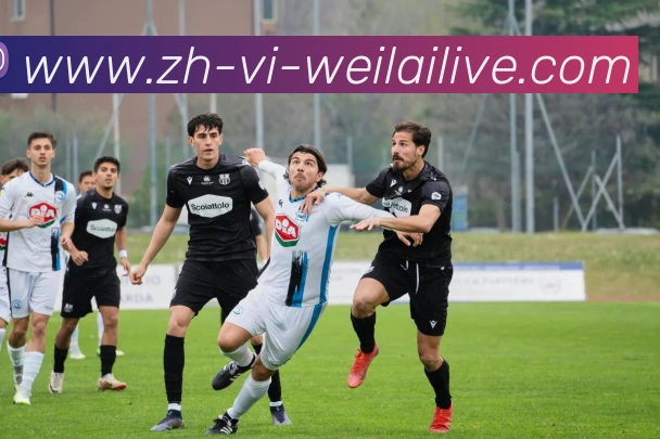 多媒体互动体验